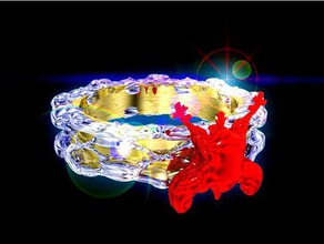 another masterpiece jewelery chicken-ring rings chicken ring 3d print model - Mito3D