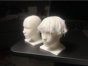 poilu de la tête sculptures 3d print model - Mito3D