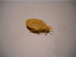 bed bug Biologie 3d print model - Mito3D