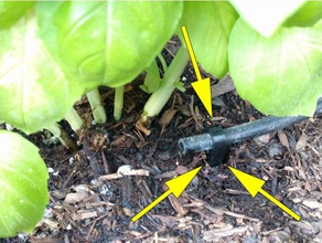 l'irrigation tuyau goutte à clips de ligne extérieur et jardin le clip irrigation au collier serrage sol l'arrosage 3d print model - Mito3D