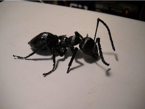 big ass ant creatures 3d print model - Mito3D