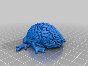leaping Gehirn Skulpturen 3d print model - Mito3D