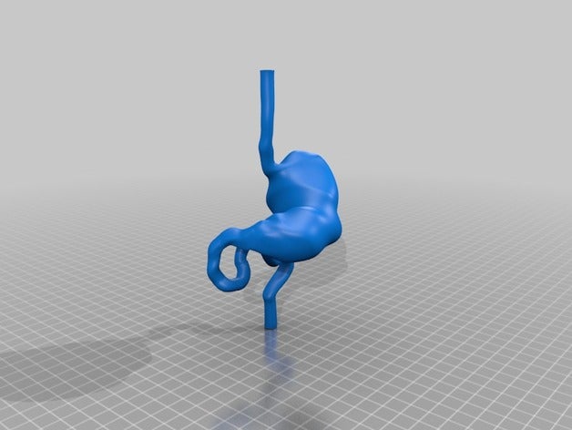 simulador de entrenamiento pediátrico del tracto gastrointestinal superior aprendizaje 3D print model - Mito3D