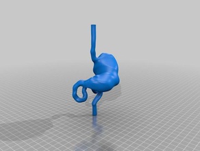 simulador de entrenamiento pediátrico del tracto gastrointestinal superior aprendizaje 3d print model - Mito3D