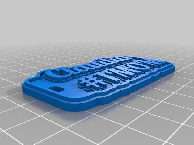 my customized multiline tag keychain keychains 3D print model - Mito3D