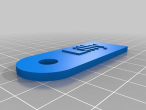 lilly-Hund-tag Kunst kundengebundene 3d print model - Mito3D