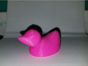 le canard sculptures animal l'éducation jouet éducatif rhino3d 3d print model - Mito3D