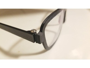 custom eye glasses accessories 3d print model - Mito3D