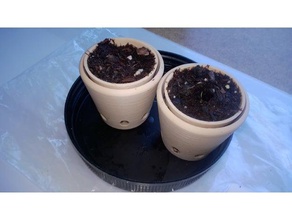 seedling planter outdoor & garden reservoir reusable seedlings 3d print model - Mito3D
