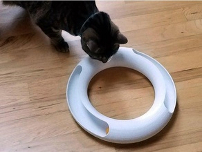 paramétrico gato pista de juguete las mascotas 3d print model - Mito3D