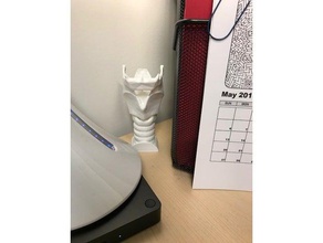 la laringe de pie biología anatomía educación ciencia discurso terapia del habla tráquea 3d print model - Mito3D