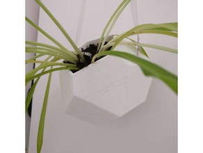 Luft-pflanze Grundstück Container airplant pflanze Pflanzer Topf pot Wand 3d print model - Mito3D