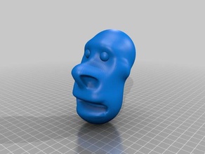 a cabeça pessoas rosto 3d print model - Mito3D