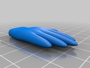 el biyoloji parmak palm 3d print model - Mito3D