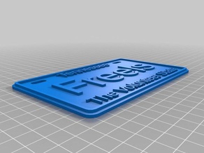 tn placa de licença brinquedos & games personalizado 3d print model - Mito3D