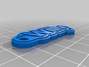 willy clave de la cadena monedas & insignias personalizado 3d print model - Mito3D