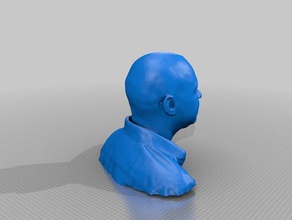 eierkopf scans & Replikate 3d print model - Mito3D