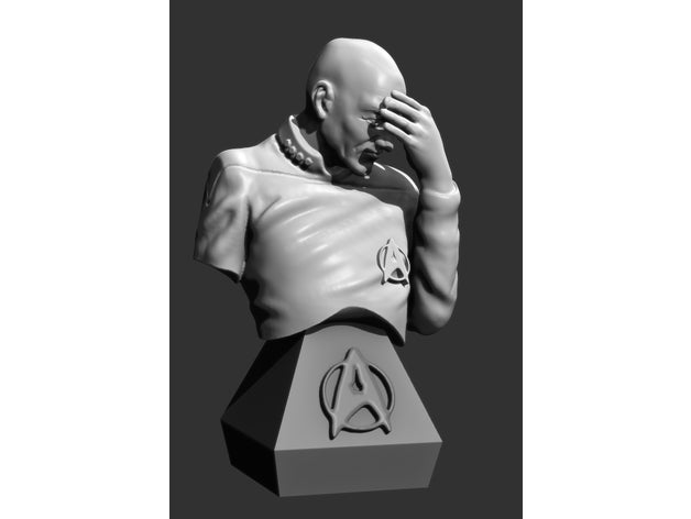 facepalm picard sculptures le buste de l'entreprise sculpter la sculpture star trek statue zbrush 3D print model - Mito3D