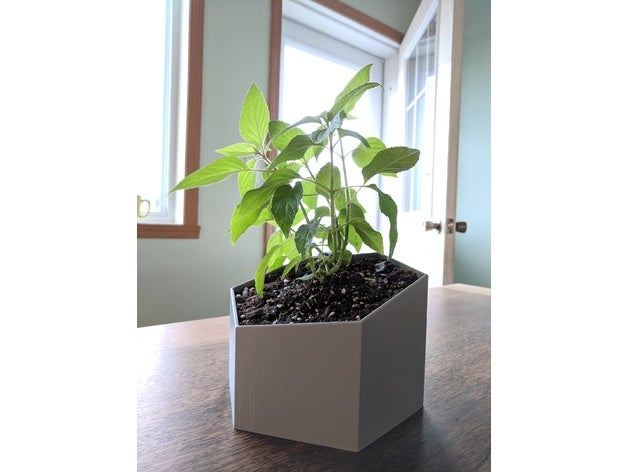 poly flower pot containers flowerpot vase planter planters plant 3D print model - Mito3D