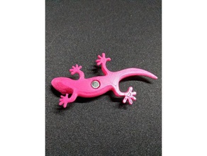 gecko magnete animali lucertola 3d print model - Mito3D