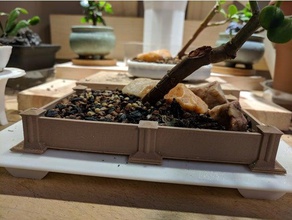 Bonsaischale Säulen outdoor & Garten bonsai bonsai-Topf Baum 3d print model - Mito3D