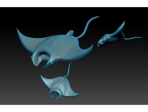 salvare manta ray animali 3d print model - Mito3D