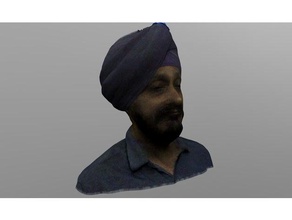 3d scan harjot shah singh scans & replicas 3dscan scanning 3d print model - Mito3D