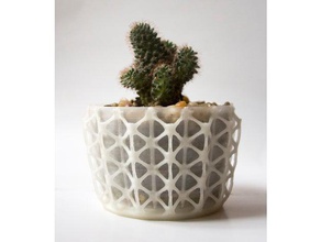 iskelet ekici dekor bitki saksılar pot bitkiler succulents etli sahibi 3d print model - Mito3D