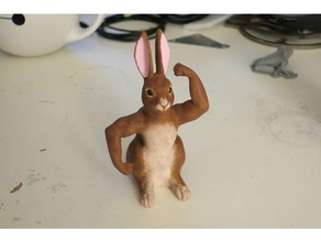 rabbit arms sculptures 3d print model - Mito3D