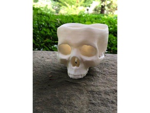 skull pot outdoor & garden cactus planter flowerpot flower houseplant human planters plant 3d print model - Mito3D