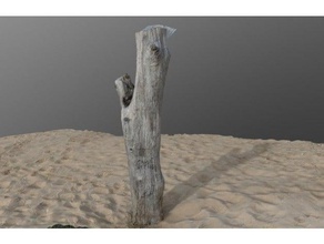 tocón de árbol la playa props 3d print model - Mito3D