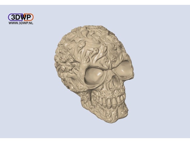 souls skull hollow scans & replicas 3d scan lamp led lighting 3D print model - Mito3D
