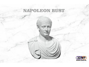 napoleón busto exploraciones & réplicas Escaneo 3d oliver laric scan 3d print model - Mito3D