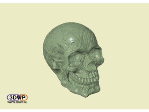 celtic skull hollow scans & replicas 3d scan lamp led lighting 3d print model - Mito3D