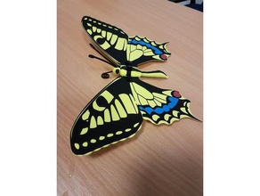 butterfly papilio machaon animals animal flying wing insect 3d print model - Mito3D