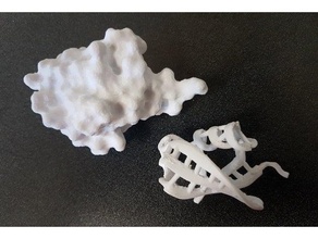 ubiquitin biology biochemistry protein data bank structure 3d print model - Mito3D