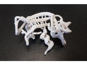 rnase ribonükleaz biyoloji Biyokimya protein veri bankası yapısı rnaz 3d print model - Mito3D