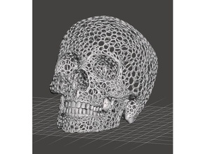 skull voronoi style art bones copyspace head human model pattern teeth 3d print model - Mito3D