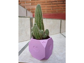 flower pot v3 decor anet e12 cactus vase planter plant 3d print model - Mito3D