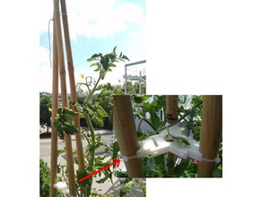 takviye bambu yardım tırmanma açık ve bahçe dreibein kabelbinder pflanzen rankhilfe tripod verst rkung zip kravat 3d print model - Mito3D