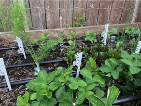 giardino pali all'aperto e giardinaggio segno di verdure 3d print model - Mito3D