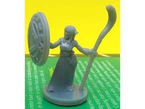 elfmaid wizard toy & game accessories 28mm dnd dungeons dragons elf miniature miniatures 3d print model - Mito3D