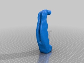 hyiran1 scans & replicas makerbotdigitizer scan 3d print model - Mito3D