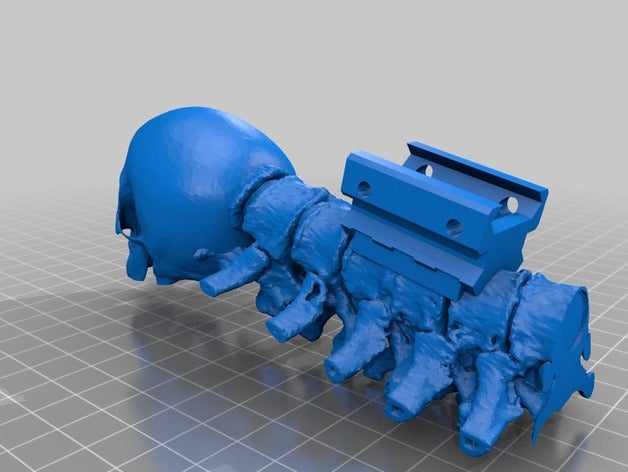 giger v3 3d printing ar15 picatinny skull weapon 3D print model - Mito3D
