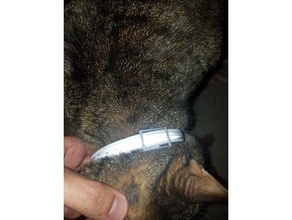 flea collar buckle no rivets screws pets 3d print model - Mito3D