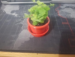 mini pote de água balde do agregado familiar vaso flores jardim jardinagem planta plantas um doces regador o 3d print model - Mito3D