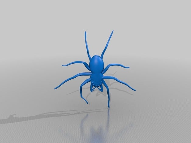 spider Tiere 3D print model - Mito3D