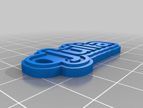keychain julia coins & badges customized 3d print model - Mito3D