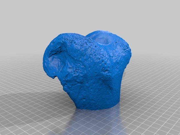 moa bone animals 3D print model - Mito3D