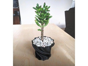 twisted saftigen Pflanzer outdoor & Garten pot Sukkulenten succulentss 3d print model - Mito3D